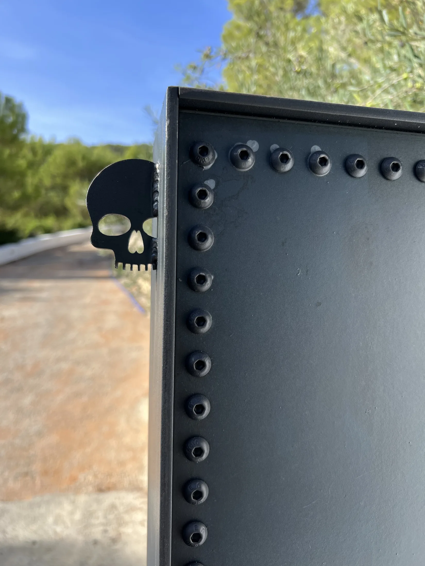 Detalle de puerta con calavera 4