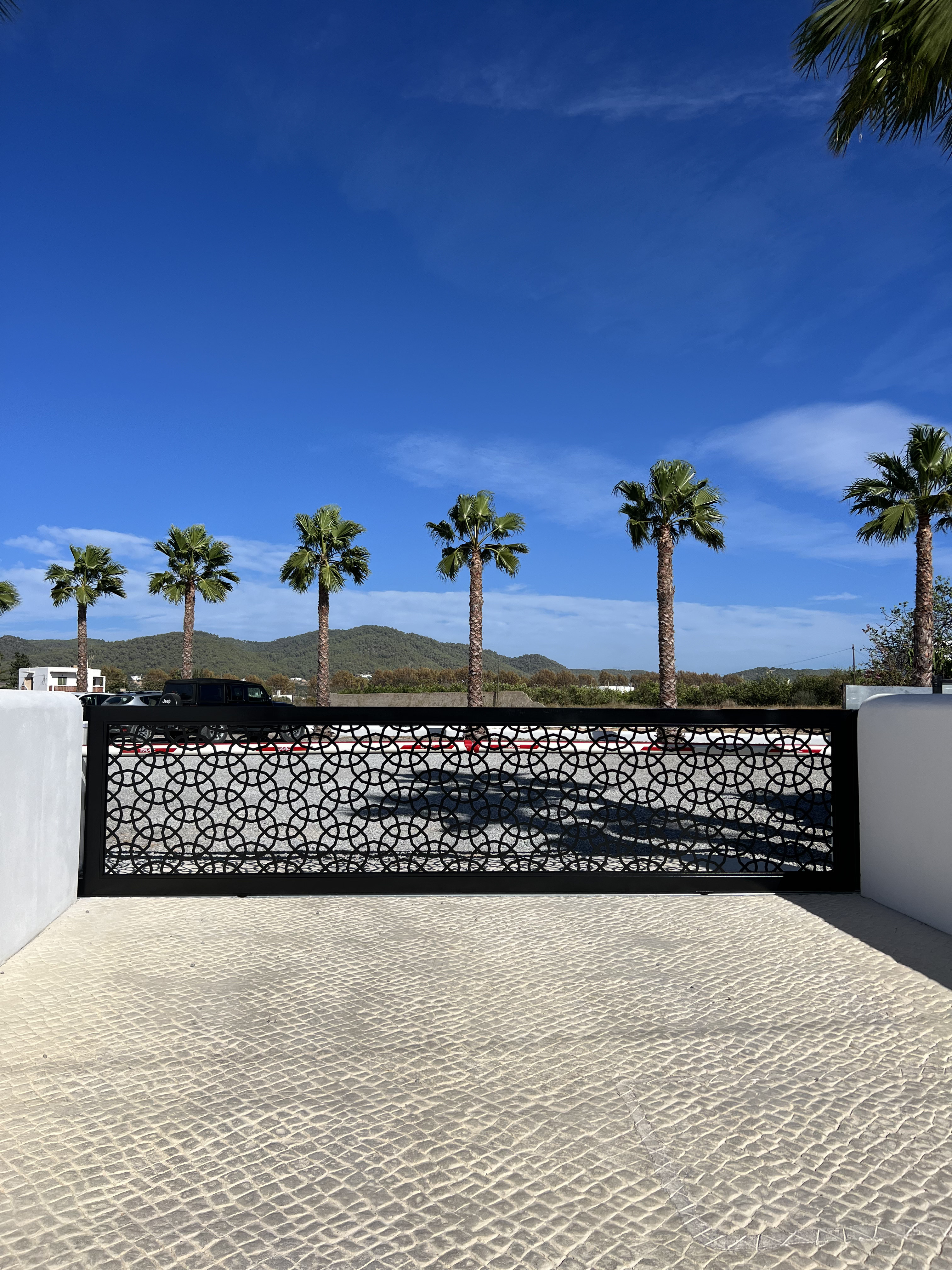 Puerta cortada láser 2